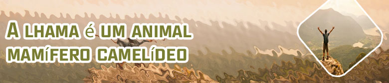 Jogo de levar pessoas no avi?o